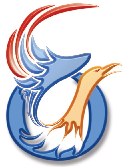 Phoenix Consulting - Access Programming