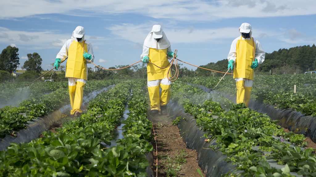 Pesticide Licensing Compliance System Project