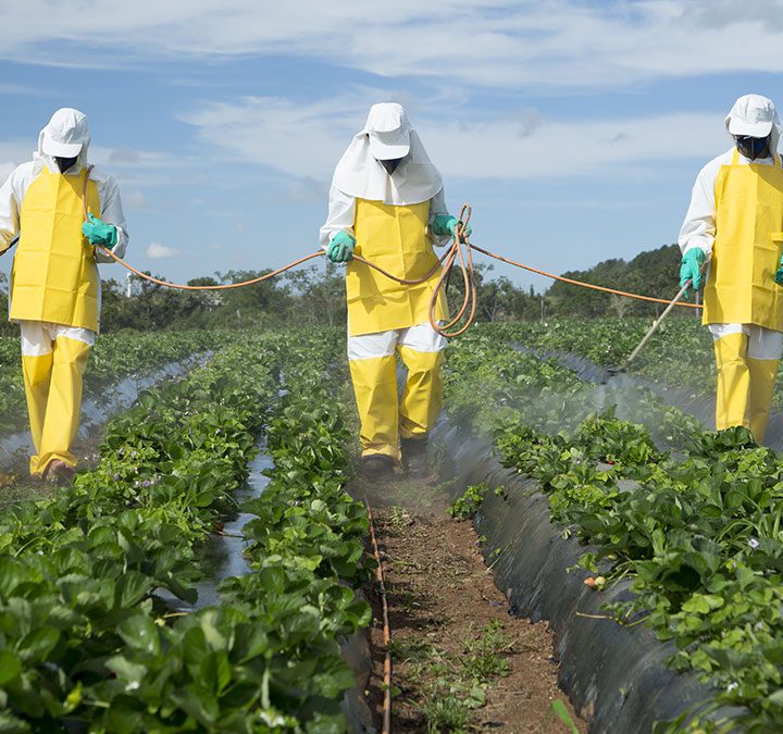 Pesticide Licensing Compliance System Project