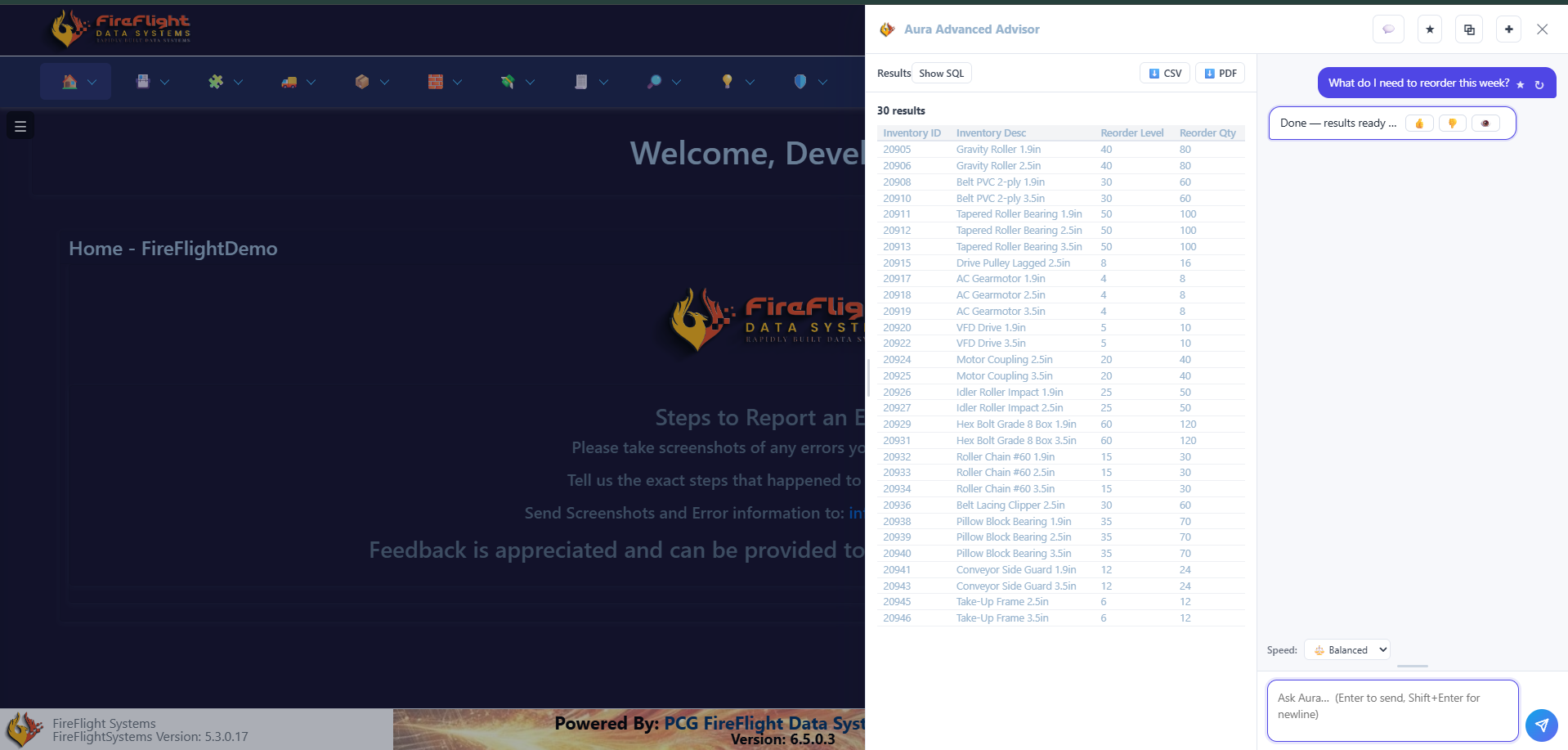 FireFlight plain-English query returning a reorder list with reorder levels and quantities