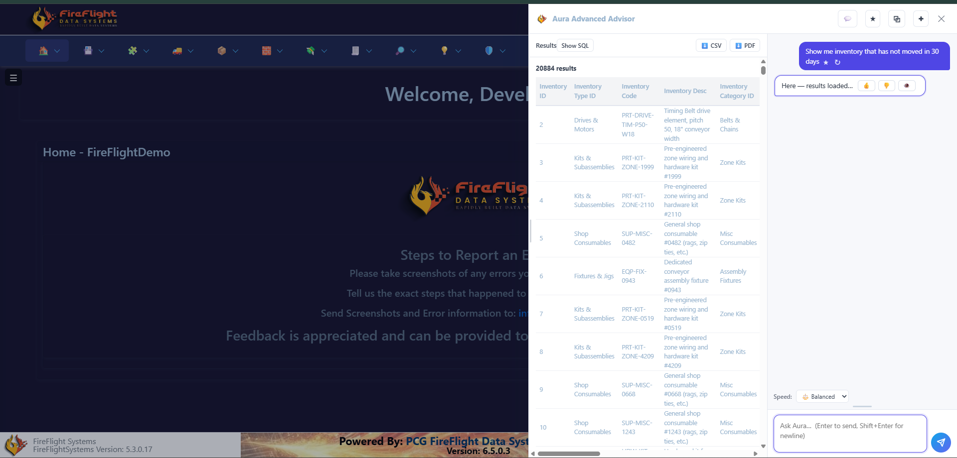 FireFlight plain-English query returning inventory with no recent movement